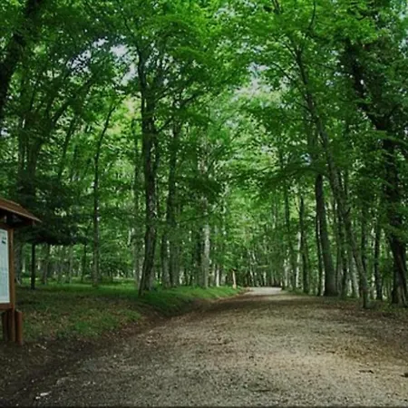 La Casa Di Franco E Grazia Holiday home